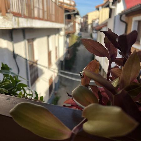 La Golondrina Appartement Candeleda Buitenkant foto