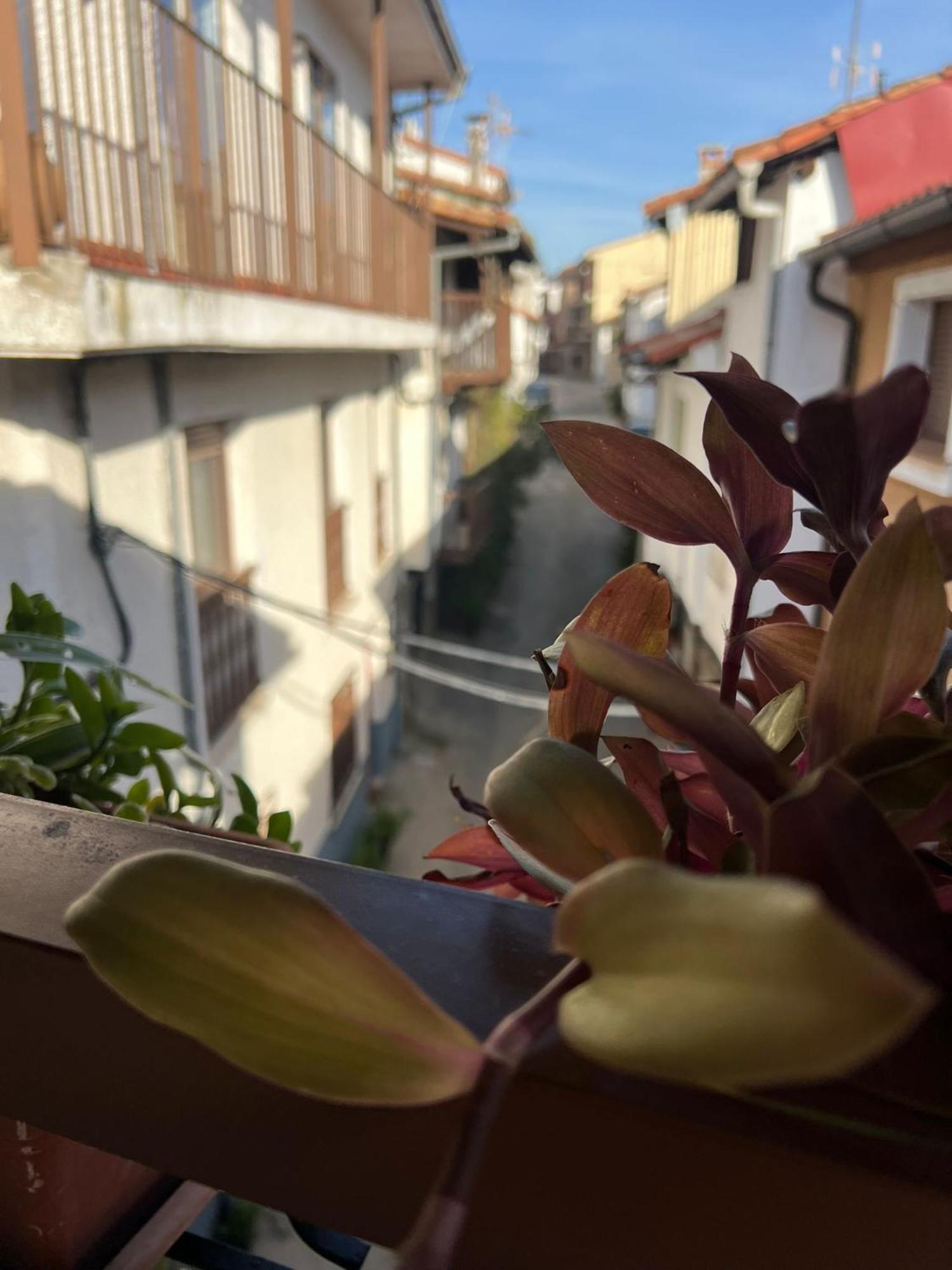 La Golondrina Appartement Candeleda Buitenkant foto
