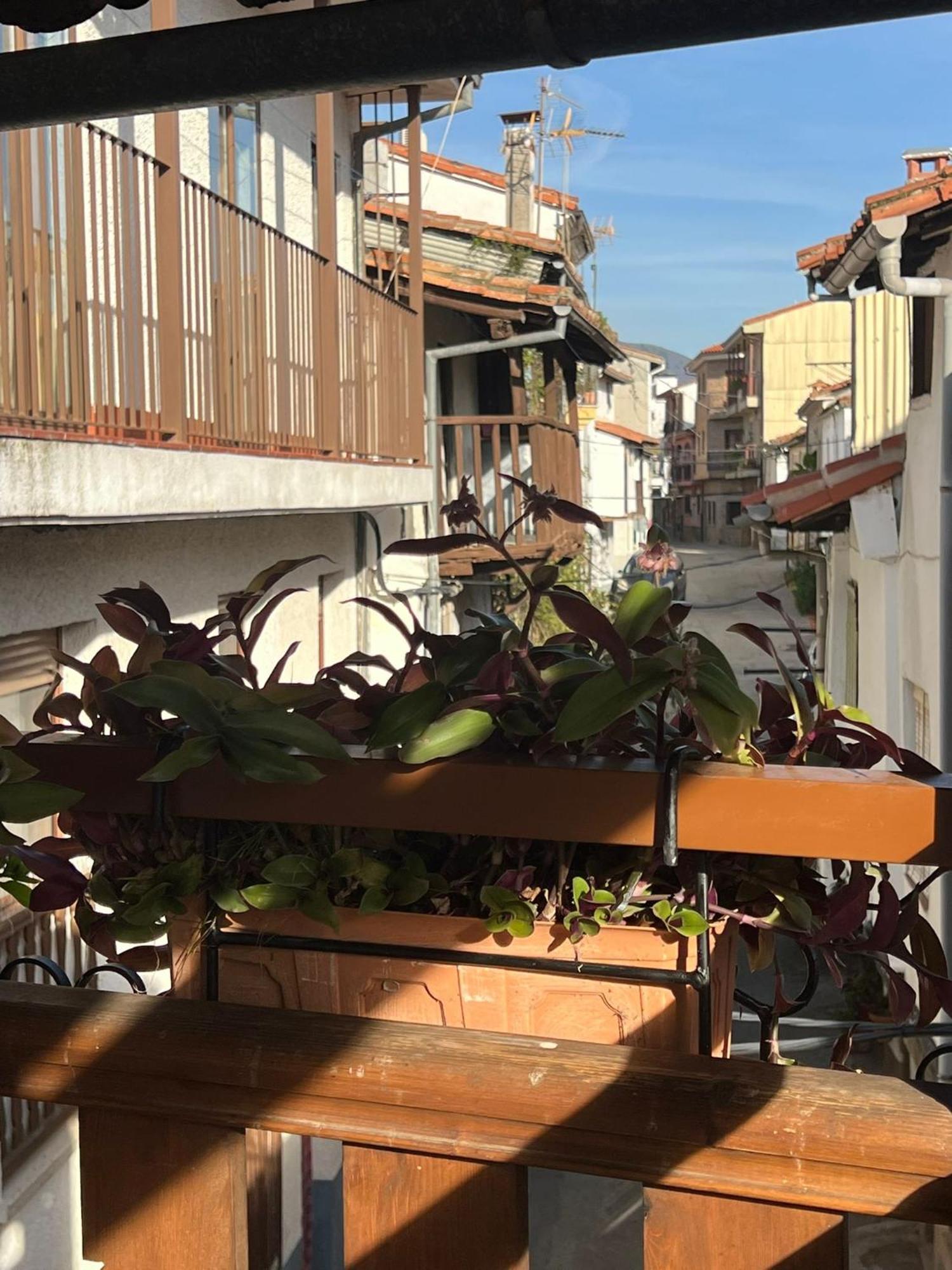 La Golondrina Appartement Candeleda Buitenkant foto